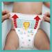 Pampers Old Version Pants Size 4 for Boys & Girls - 176 Pieces | International Shipping Available - Buy Online on SooperMarket.com
