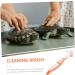 Beaupretty Turtle Shell Cleaning Brush grip cleaning brush turtle cleaning brush aquatic animal cleaning brush hamster cleaning brush toothbrush cleaner tool reptile care plastic water turtle 16x5cm As Shown 2 - Buy Online on SooperMarket.com