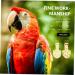 PopetPop 10 Pack Parrot Flight Suits - Ideal Diapers for Birds | International Shipping Available - Buy Online on SooperMarket.com