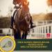Premium Vitamin Paste for Horses | Amino Acids & Energy Booster | Muscle Regeneration & Performance | 3x30ml - Buy Online on SooperMarket.com