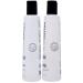 PETER COPPOLA Total Repair Shampoo & Conditioner Duo | Color-Safe Sulfate-Free Hair Care for Color Treated Hair | Keratin Treatment Aftercare (12 Fl Oz - Buy Online on SooperMarket.com