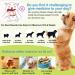 Dog Skin Relief Chews- Itch & Immunity Treats for Allergies - 120 Soft Chicken Flavor Chews - Buy Online on SooperMarket.com