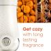 Glade PlugIns Refills Air Freshener Starter Kit - 2 Warmers & 2 Refills Pumpkin Spice & Apple of My Pie - Scented Oil for Home & Bathroom | International Shipping Available - Buy Online on SooperMarket.com