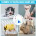 Puppy Kitten Feeding Tube Kit Includes 5 Pcs Kitten Feeding 5 ML 10 ML 20 ML 30 ML 60 ML 4 Pcs Red Feeding Tubes 1Pcs Rubber Suction Device and Air Blowing for Newborn Animals(11Pack) - Buy Online on SooperMarket.com