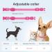 Buy YFBRITE LED Cat & Dog Neck Band - Adjustable Reflective Safety Collar in Pink XS - Comfortable Glowing Puppy Straps - Buy Online on SooperMarket.com