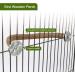 Rypet Parrot Bird Natural Wood Stand Perch Swing - Large U Shape - Buy Online on SooperMarket.com