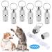 Address pendant for cats and dogs 6 pieces of stainless steel animal brand with key rings anti -free name tag collar trailer for animal identification silver address capsule for pets