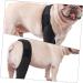 Kisangel Dog Leg Brace Dog Sling for Large Dogs Hind Leg Support Dog Back Leg Protector Paw Pet Puppy M As Shown - Buy Online on SooperMarket.com
