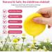 Turmeric Cleansing Pads - Gentle Skincare Daily Exfoliation & Compressed Facial Sponges (40pcs) - Turmeric & Kojic Acid - Buy Online on SooperMarket.com
