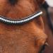 Schockem hle EQUITUS BETA Anatomical Special Bridle - Black Silver VB | Premium Equestrian Gear for International Shipping - Buy Online on SooperMarket.com