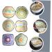 Zerodeko 6pcs Ceramic Saucer Mini Serving Dish Seasoning Bowl Dipping Sauce Plates para Mini Postres Small Ceramic Dish Seasoning Dish Sauce Bowl Dip Dishes Dipping Dish Ceramics re-usable - Buy Online on SooperMarket.com