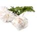 White Jordan Almonds Candy Bulk - 5LB by Sconza - Wedding Favors - Sweet Candy Coated Almonds - Buy Online on SooperMarket.com