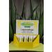 Aloe Vera Gold Lip Care Stick - Pack of 5 (5 x 5 ml) | Moisturizing & Soothing Lip Balm for Dry Lips | International Shipping Available - Buy Online on SooperMarket.com
