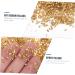 Healeved 1 Glass Chip Resin Colored Rhinestones 3d Nail Charms Rhinestone for Nails Bulk Crafts Nail Accessories Glass Charms Filling in Bulk Colored Bulk Filler Irregular 0.5X0.3cm Golden - Buy Online on SooperMarket.com