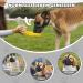 Buy Bonthee Dog Muzzle - Soft Mesh for Small & Medium Dogs | Breathable Adjustable & Reflective for Grooming & Scavenging - Buy Online on SooperMarket.com