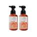 Bath and Body Works Aromatherapy Energy Orange Ginger Hand Soap 2 Pack - 8.75 Fl Oz - Buy Online on SooperMarket.com
