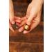 Premium Australian Macadamia Nuts in Shell - 8 Oz Vanilla Dry Roasted with Key Device for Easy Opening - Buy Online on SooperMarket.com
