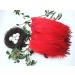 100pcs Red Goose Feathers 6-8 Inch - Ideal for Crafts, Wedding Decor, Clothing Accessories - Buy Online on SooperMarket.com