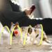 2pcs Cat Coil Toy Set - Foldable 65cm Kitten Play Tunnel with Plush Ball & Feather Stick - Multicolor Spiral Cat Toy Tunnel - Buy Online on SooperMarket.com