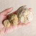 Natural Crystal Rough 500g Agate Irregular Geode Agate Crystals Complete Hollow Stone Specimen White Crystal Cavity Fun Cutting Stone Crafts Random size 500g - Buy Online on SooperMarket.com