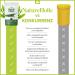 Natureholic Shrimp Food - Premium Main Feed for Aquarium Shrimp | Fish Flour-Free Made in Germany | 30g for Optimal Growth & Tank Health - Buy Online on SooperMarket.com