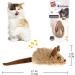 2 Pack Interactive Cat Toys - Feather Squeaky Bird & Mouse Kitten Plush Toys - Motion Activated Melody Chaser - Ideal for Indoor Cats - Three Dogs & A Cat - Buy Online on SooperMarket.com