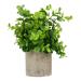 Cabilock 1pc Simulated Potted Plant Green Plants Plastic Rosemary As Shown 22x8cm