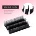 TDANCE Premium D Curl Eyelash Extensions 0.05mm + Ellipse Flat Lashes 0.15 D Curl 8-15mm - Mixed Lengths - Buy Online on SooperMarket.com
