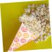 Didiseaon 250 Pcs Popcorn Bag Cardboard Popcorn Pink Candy Cotton Candy Cones Gift Bags Halloween Cone Bags Kids Snack Bag Popcorn Cone Bags Mini Candy Glass Child Paper Packing Bag - Buy Online on SooperMarket.com