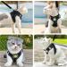 Adjustable Cat Dishes Set - Reflective Soft Lining & Breathable Mesh for Outdoor Training | M Size (Black) - Buy Online on SooperMarket.com