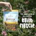 Erin Baker's Pea Protein Peanut Butter Ultra Protein Granola - 12 oz | Healthy Snack - Buy Online on SooperMarket.com