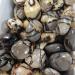 Home Decoration 1pcs Turtle Bay Palm CrystalStones Natural Carved for Feng Shui Stones ZJGIDTEM - Buy Online on SooperMarket.com