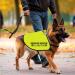 CENWA Nervous Ask To Pet/Do Not Approach Dog Jacket Vest Nervous Rescue Do Not Pet Space Dog Vest Dog Walking Slogan Warning Vest (Nervous rescue Pet M EU) - Buy Online on SooperMarket.com