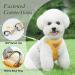 Adjustable Cat Dishes | Break-Safe Design & Leash Included | Premium Soft Puppy Bowls for Small Animals - Yellow - Buy Online on SooperMarket.com