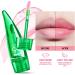 Aloe Vera Lip Oil Magic Colour Changing Lip Gloss Long Lasting Lipgloss Set Lips Moisturizer Aloe Vera Lip Stick for Women Girls (1Pack Lip Oil) - Buy Online on SooperMarket.com