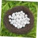 Buy Wofashpuret Artificial Spring Branches & Bird Nest Decor - 20cm Floral Moss Decoration for Home & Garden - Buy Online on SooperMarket.com