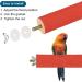 PATICIL 1.1x13.9 Bird Paw Stand - Wood Bars for Small Birds Parrots & Lovebirds - Cage Accessories - Red - Buy Online on SooperMarket.com