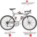 Wiel Full Carbon Fiber Bike Water Bottle Cage Holder 2Pcs - Black Red 3K Glossy - Buy Online on SooperMarket.com
