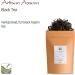 Assam Black Tea from India - Artisan Big Leaf Golden Quality - 100g - Buy Online on SooperMarket.com