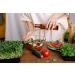 Tasty Pott W rz le - Gourmet Garlic Chili and Rosemary Oils | International Shipping Available - Buy Online on SooperMarket.com