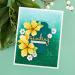 Spellbinders Four Petal Floral 3D Embossing Folder - Clear | Shop Now - Buy Online on SooperMarket.com