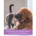 Lega Phyton 200 - Liver Support Tablets for Dogs & Cats | Silymarin Supplement | 24 Tablets - International Shipping Available - Buy Online on SooperMarket.com