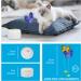 Interactive Cat Toy - All For Paws Flutter Bug Wand with Motion-Activated Butter-fly - Buy Online on SooperMarket.com