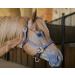 Derby Originals Coventry Triple Stitch Leather Halter - Full/Average Sizes - Buy Online on SooperMarket.com