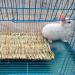 PINVNBY Natural Straw Grass Mat for Rabbit Bunny Cage - 6 Pcs - Buy Online on SooperMarket.com