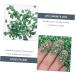 FOYTOKI 1 Glass Chip Shiny Nail Stickers Manicure Charm Glass Charms Filling DIY Epoxy Filling DIY Nail Art Crushed Glass Epoxy Charms Nail Art Rhinestones Irregular Glass Epoxy Fillers 0.5X0.3cm Green - Buy Online on SooperMarket.com