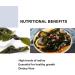 AMZGROCERY Kombu Dried Seaweed Kelp Knots 50g - Premium Quality Seaweed for Cooking - Buy Online on SooperMarket.com