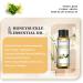 EUQEE Honeysuckle Essential Oil 10ml Pure Natural Honeysuckle Oils Aromatherapy Essential Oils for Diffusers for Home Relax Humidifiers Honeysuckle 10.00 ml (Pack of 1) - Buy Online on SooperMarket.com