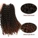 Lady Miranda Afro Kinky Curly Braiding Hair Extensions 10 Inch 3X Braid Synthetic Hair- Black&Brown 1B/30 - Buy Online on SooperMarket.com
