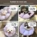 HiDREAM Cat Cone Collar | Cute & Waterproof Elizabethan E-Collar for Cats | Anti-Bite & Lick Wound Healing Collar | Safety Cat Recovery Collar | Medium - Purple - Buy Online on SooperMarket.com